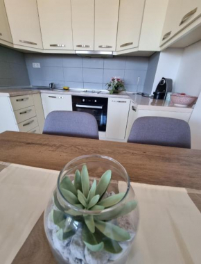 Apartman MOSKVA BIJELJINA